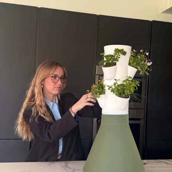 Colonne aromatique sur un plan de travail