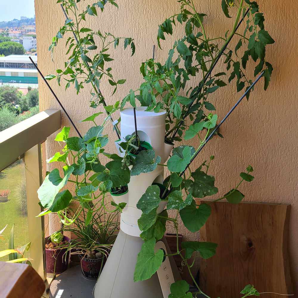 
                  
                    Potager balcon blanc
                  
                