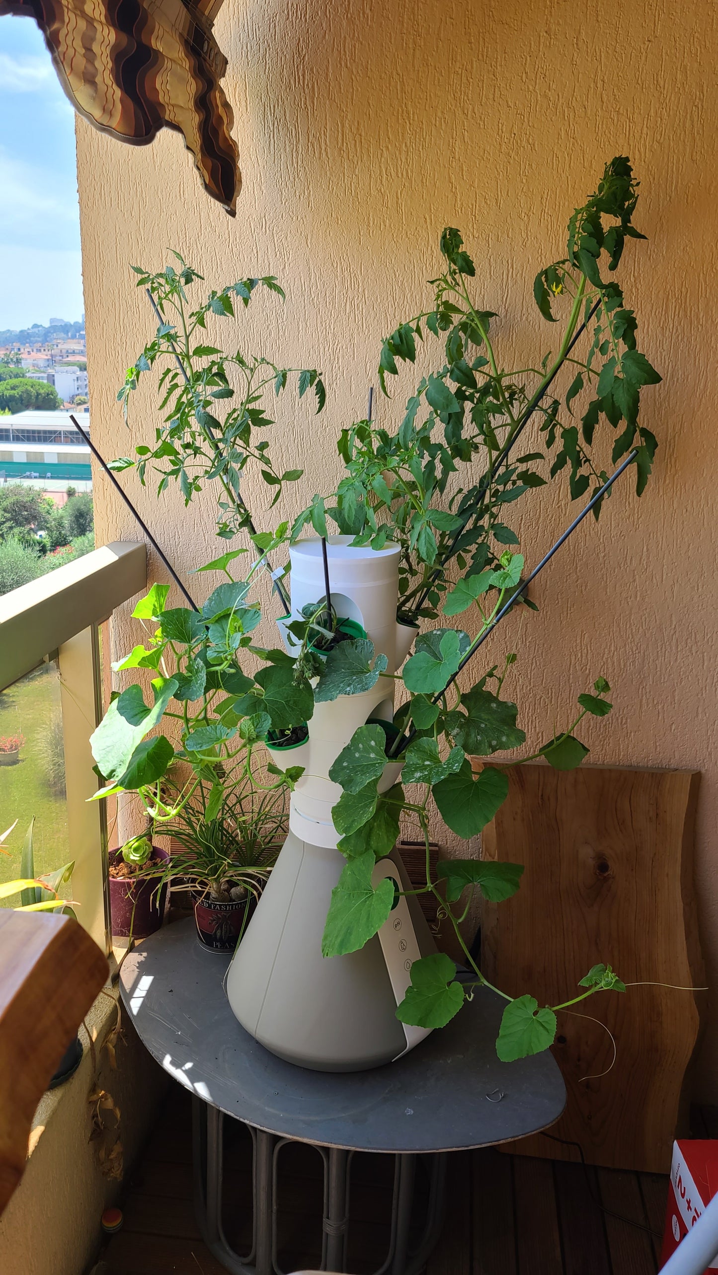 Potager balcon blanc