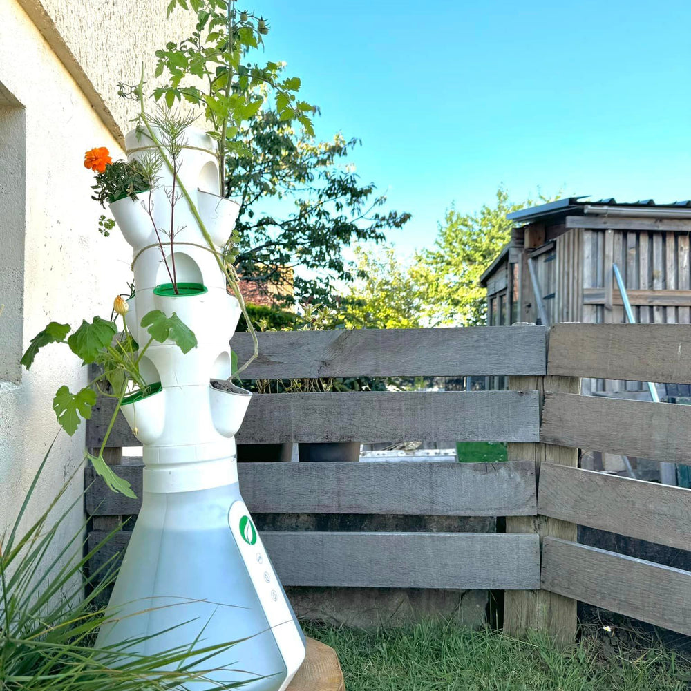 Potager extérieur utilisant une culture hydroponique, 9 cultures