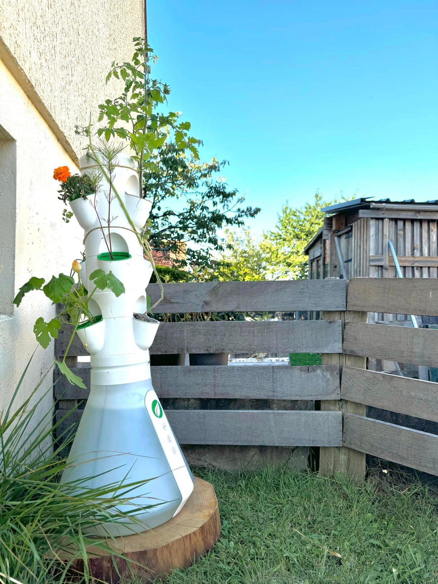 Potager extérieur utilisant une culture hydroponique, 9 cultures
