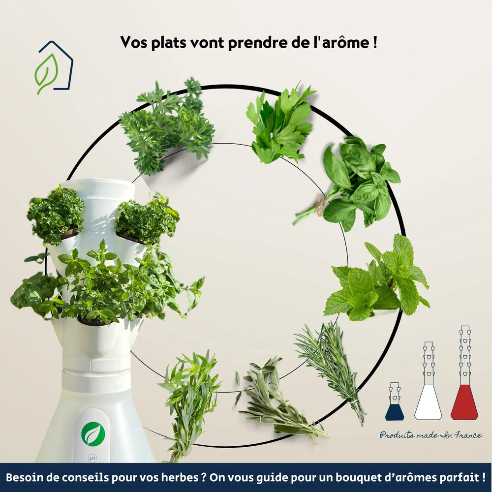 
                  
                    Cultiver facilement des aromates en intérieur
                  
                